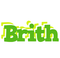 Brith picnic logo