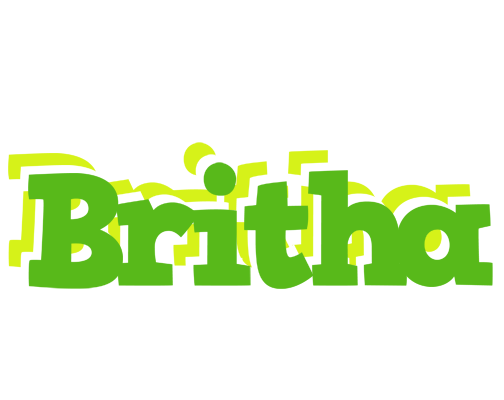 Britha picnic logo