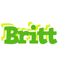 Britt picnic logo