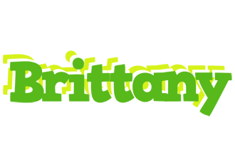 Brittany picnic logo