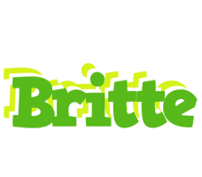 Britte picnic logo