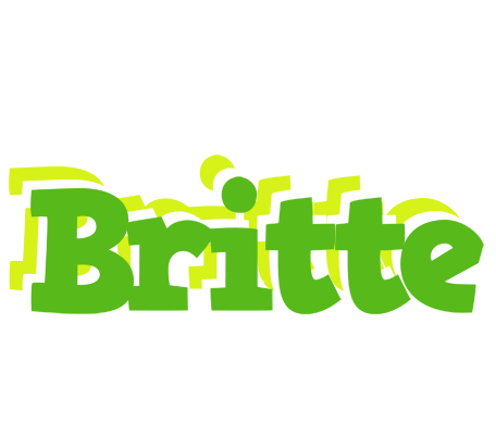 Britte picnic logo