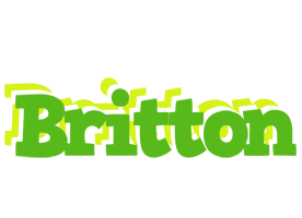 Britton picnic logo