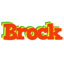 Brock bbq logo