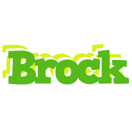Brock picnic logo