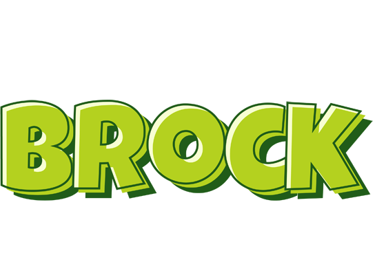 Brock summer logo