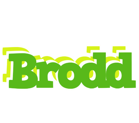 Brodd picnic logo