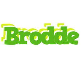 Brodde picnic logo