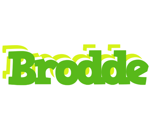 Brodde picnic logo