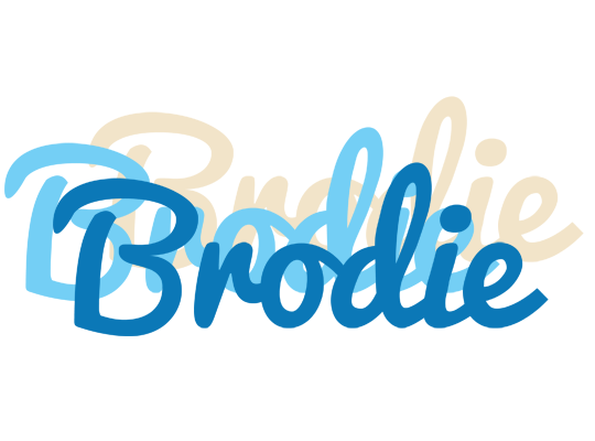 Brodie breeze logo