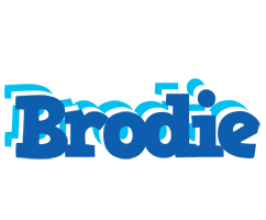 Brodie business logo
