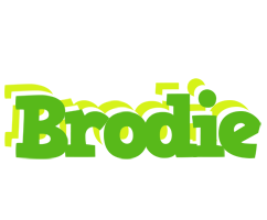 Brodie picnic logo