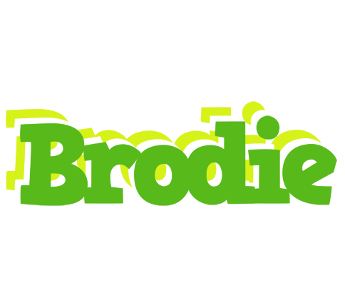 Brodie picnic logo