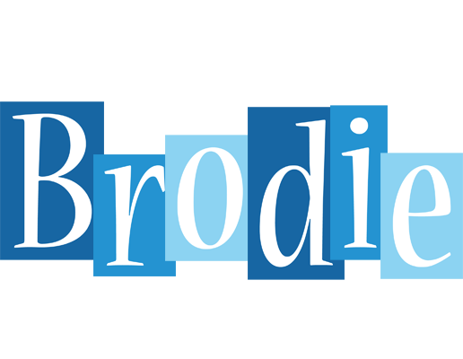 Brodie winter logo
