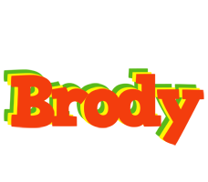 Brody bbq logo