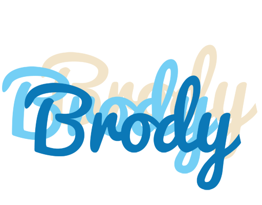 Brody breeze logo