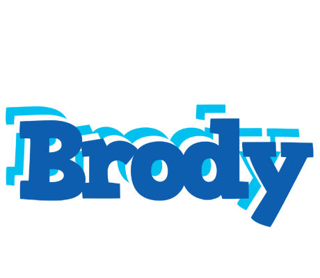 Brody business logo