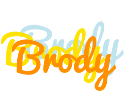 Brody energy logo