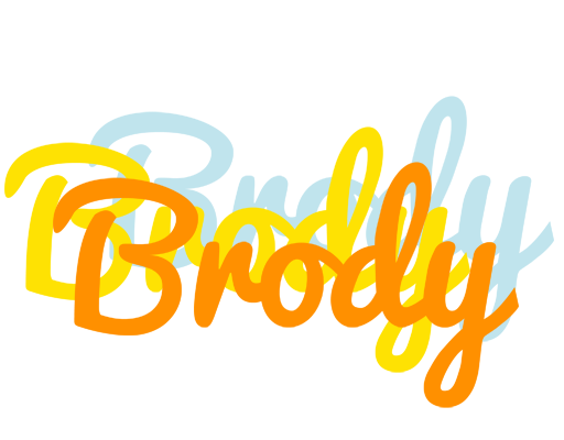 Brody energy logo