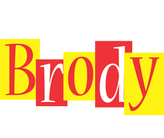 Brody errors logo