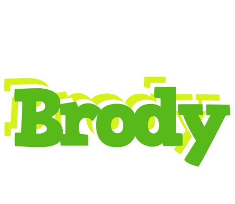 Brody picnic logo