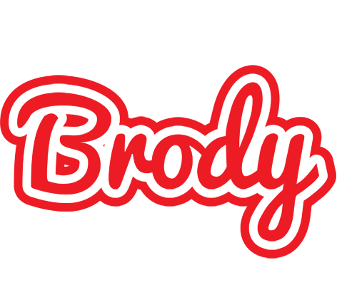Brody sunshine logo