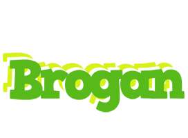 Brogan picnic logo