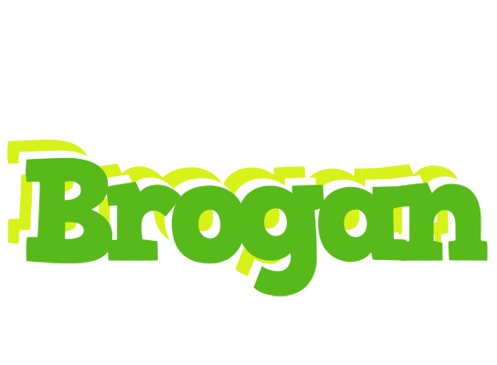 Brogan picnic logo