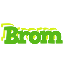 Brom picnic logo