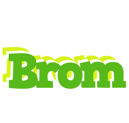Brom picnic logo