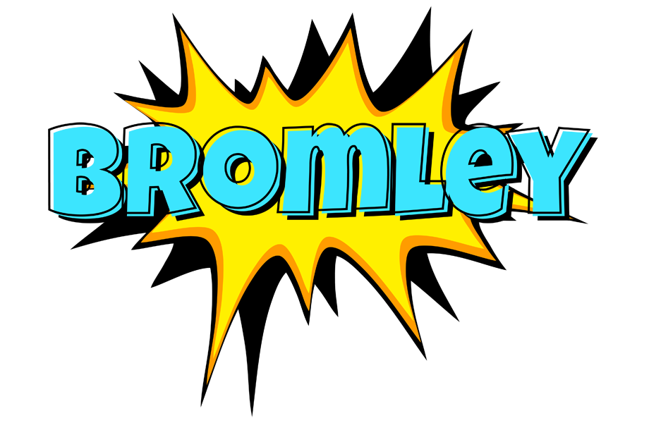 Bromley indycar logo