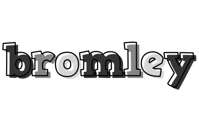 Bromley night logo