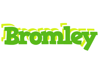 Bromley picnic logo