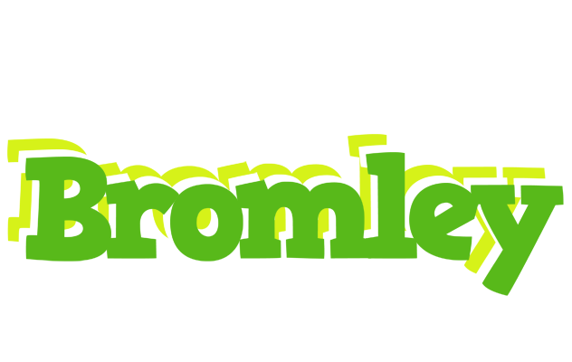 Bromley picnic logo