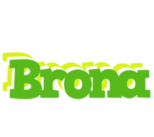 Brona picnic logo