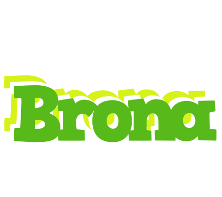 Brona picnic logo