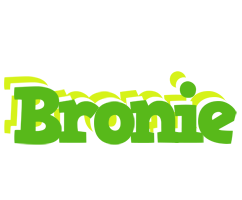 Bronie picnic logo