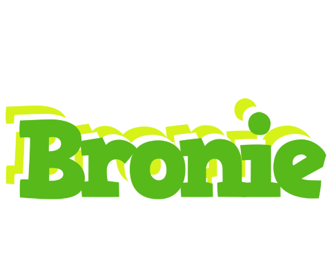 Bronie picnic logo