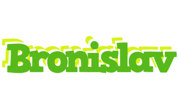 Bronislav picnic logo