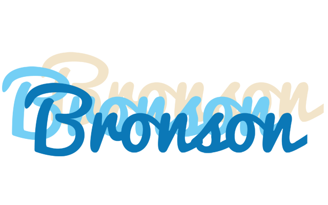 Bronson breeze logo