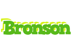 Bronson picnic logo