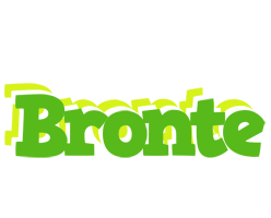 Bronte picnic logo