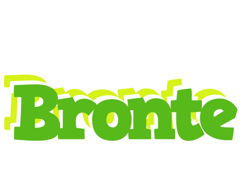 Bronte picnic logo