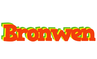 Bronwen bbq logo