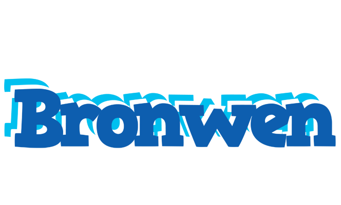 Bronwen business logo