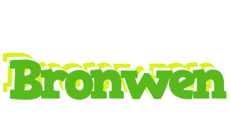 Bronwen picnic logo