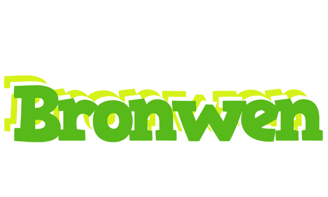 Bronwen picnic logo