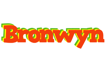 Bronwyn bbq logo