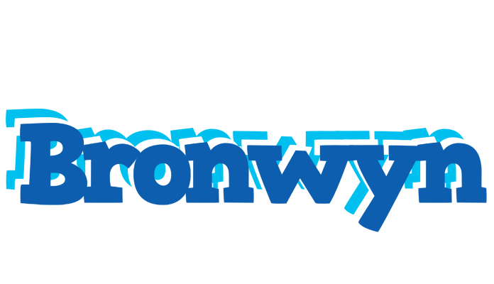 Bronwyn business logo