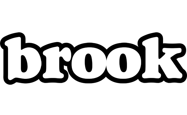 Brook panda logo